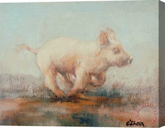 Ellie O Shea Running Piglet Stretched Canvas Painting / Canvas Art