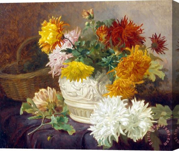 Eloise Harriet Stannard Still Life of Chrysanthemums Stretched Canvas Print / Canvas Art