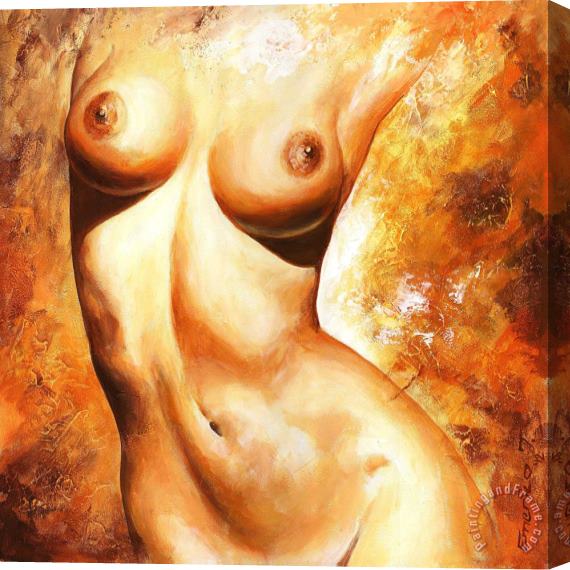 Emerico Toth Nude details Stretched Canvas Print / Canvas Art