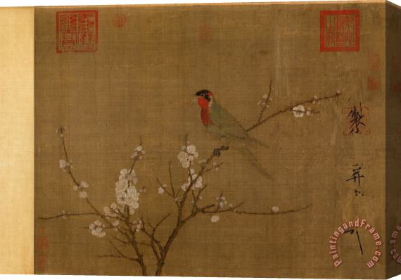 Emperor Huizong Five Colored Parakeet on a Blossoming Apricot Tree Stretched Canvas Print / Canvas Art