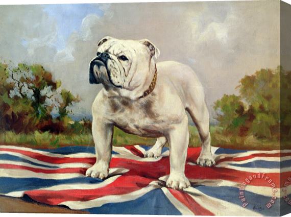 English School British Bulldog Stretched Canvas Print / Canvas Art