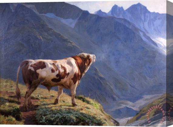 Eugene Burnand Taureau Dans Les Alpes 1884 Stretched Canvas Painting / Canvas Art