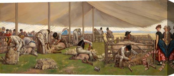 Eyre Crowe A Sheep Shearing Match Stretched Canvas Print / Canvas Art