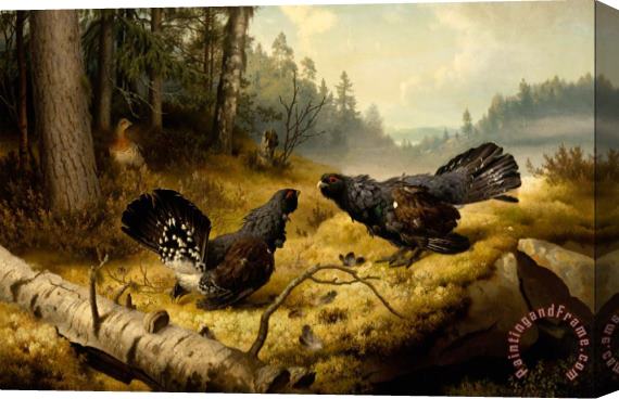 Ferdinand von Wright The Fighting Capercaillies Stretched Canvas Painting / Canvas Art