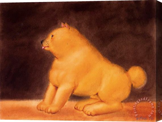 Fernando Botero Cane, 1979 Stretched Canvas Print / Canvas Art