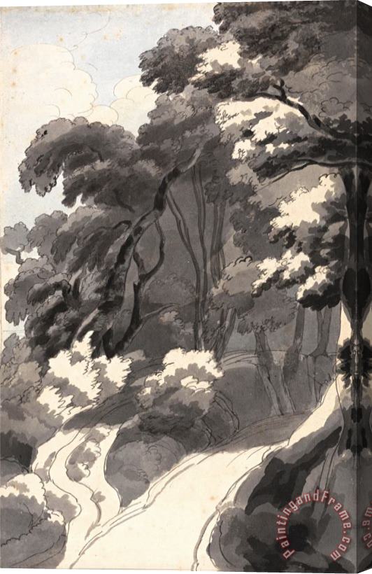 Francis Swaine The Chestnut Grove, Near Rocca Del Papa Near Lake Albano Stretched Canvas Print / Canvas Art