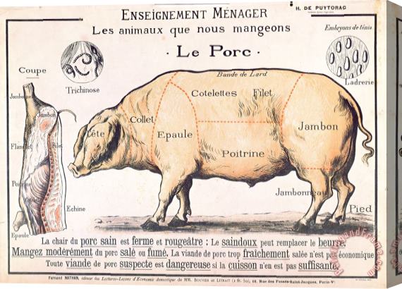 French School Cuts of Pork Stretched Canvas Print / Canvas Art