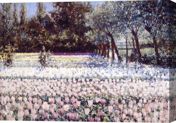 George Hitchcock Early Spring in Holland Stretched Canvas Painting / Canvas Art