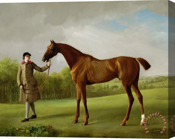 George Stubbs Lustre Held By A Groom Stretched Canvas Print / Canvas Art