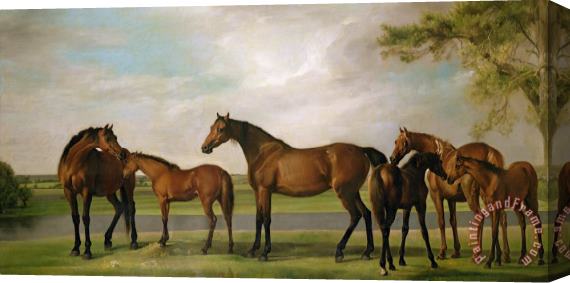 George Stubbs Mares And Foals Disturbed By An Approaching Storm Stretched Canvas Painting / Canvas Art