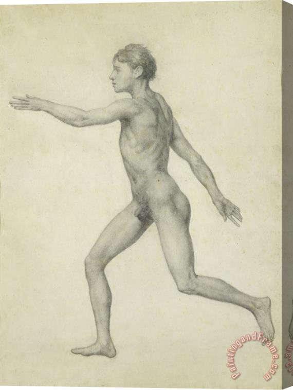 George Stubbs The Entire Human Figure From The Left Lateral View Stretched Canvas Painting / Canvas Art