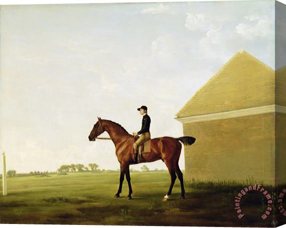 George Stubbs Turf Stretched Canvas Print / Canvas Art