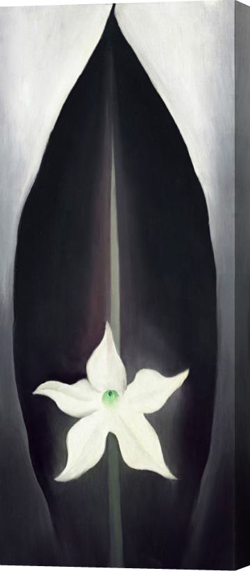 Georgia O'keeffe Autumn Leaf with White Flower, 1926 Stretched Canvas Print / Canvas Art