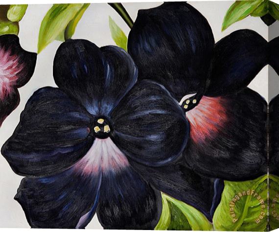 Georgia O'keeffe Black And Purple Petunias Stretched Canvas Print / Canvas Art