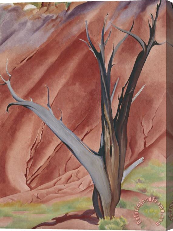Georgia O'keeffe Gerald's Tree I, 1937 Stretched Canvas Print / Canvas Art