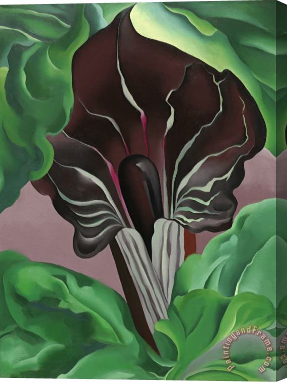 Georgia O'Keeffe Jack in Pulpit No. 2 Stretched Canvas Print / Canvas Art