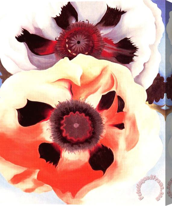 Georgia O'keeffe Poppies Stretched Canvas Print / Canvas Art