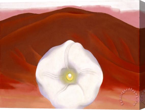 Georgia O'keeffe Red Hills And White Flower Stretched Canvas Painting / Canvas Art