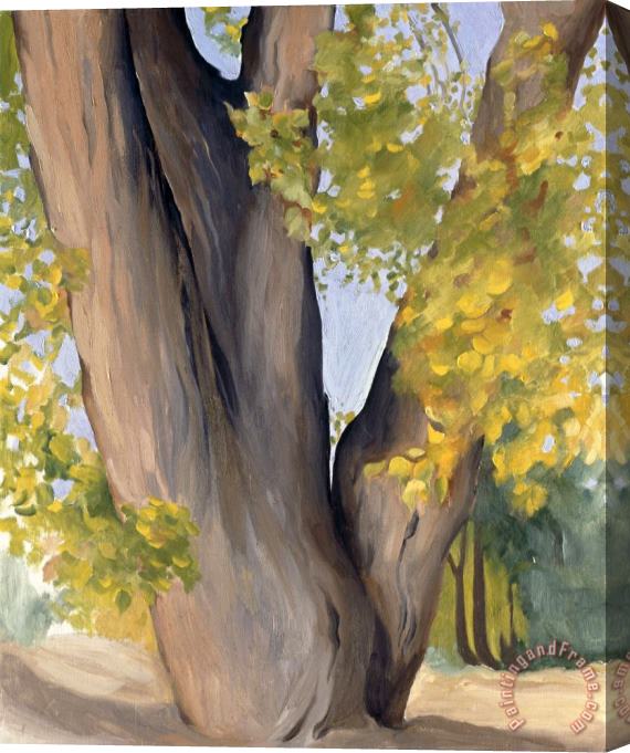 Georgia O'keeffe Untitled (cottonwood Tree), 1945 Stretched Canvas Print / Canvas Art