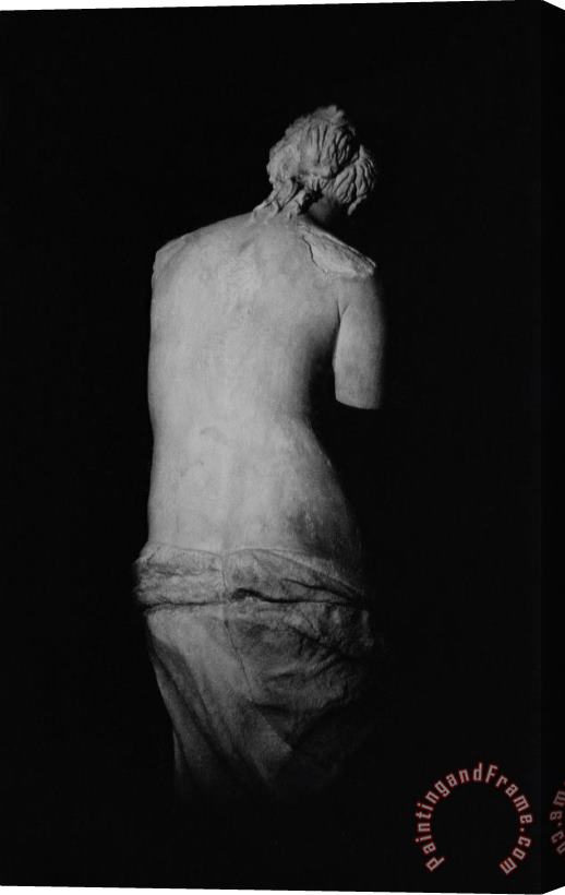 Greek School Venus de Milo Stretched Canvas Painting / Canvas Art
