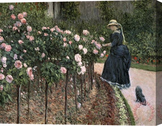Gustave Caillebotte Roses In The Garden At Petit Gennevilliers Stretched Canvas Painting / Canvas Art