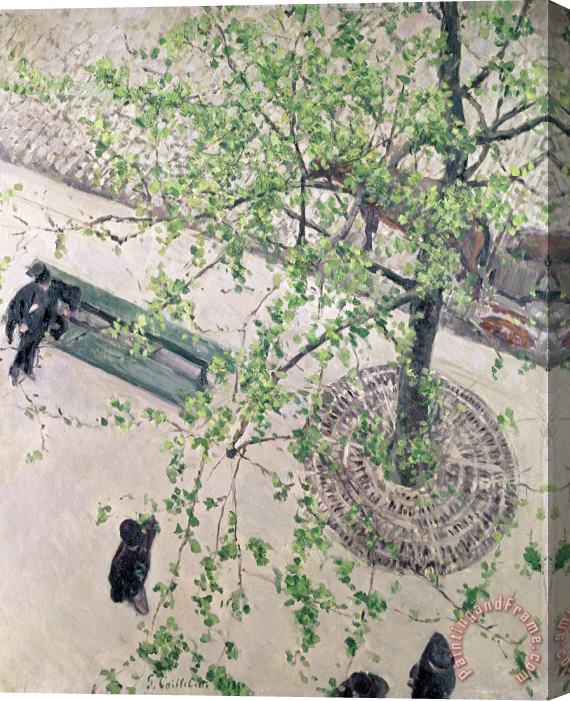 Gustave Caillebotte The Boulevard Viewed From Above Stretched Canvas Print / Canvas Art