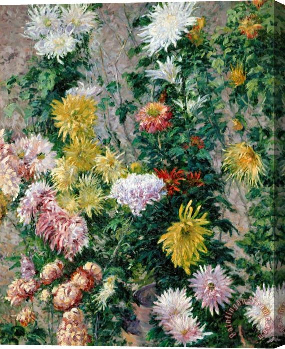 Gustave Caillebotte White and Yellow Chrysanthemums Stretched Canvas Painting / Canvas Art