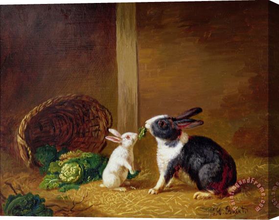 H Baert  Two Rabbits Stretched Canvas Print / Canvas Art