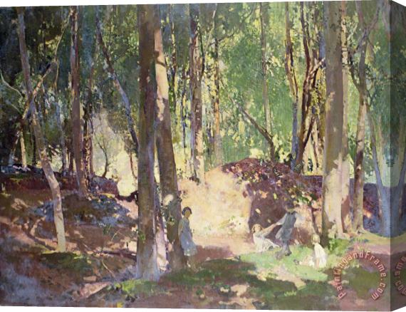 Harry Watson Morning in the Woods Stretched Canvas Print / Canvas Art