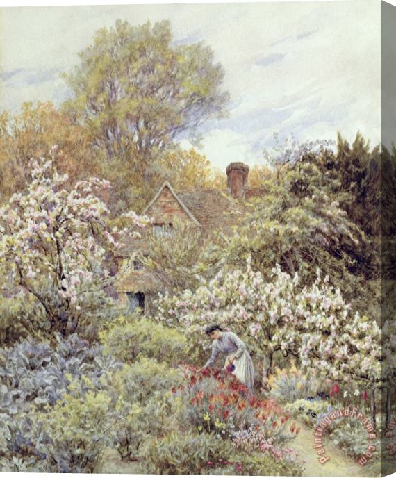 Helen Allingham A Garden in Spring Stretched Canvas Painting / Canvas Art