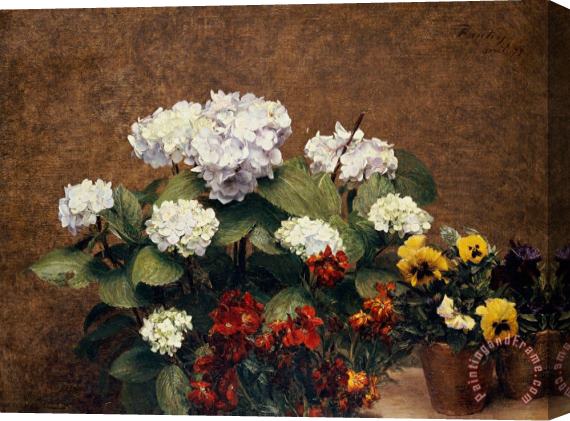 Henri Jean Fantin-Latour Hydrangeas and Wallflowers and Two Pots of Pansies Stretched Canvas Print / Canvas Art