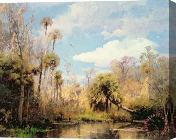 Herman Herzog Florida Palms Stretched Canvas Painting / Canvas Art