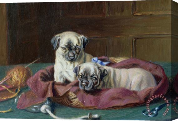  Horatio Henry Couldery Pug Puppies in a Basket Stretched Canvas Print / Canvas Art