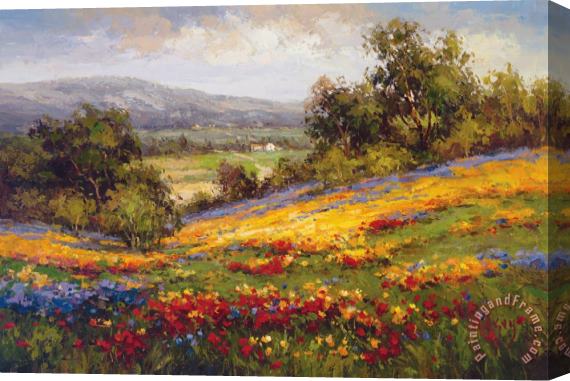 Hulsey Campo Di Fiore I Stretched Canvas Painting / Canvas Art