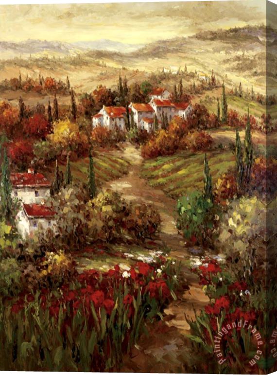 Hulsey Tuscan Village Stretched Canvas Print / Canvas Art