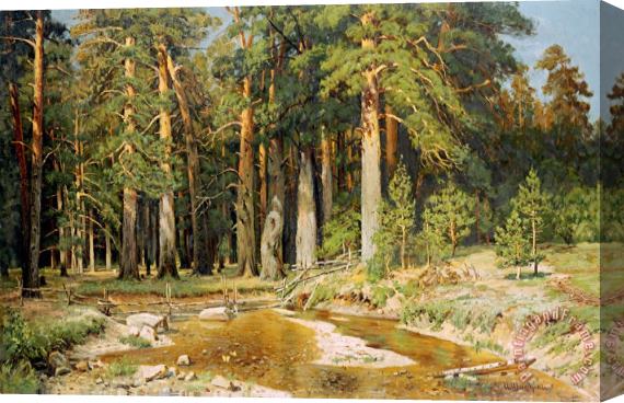Ivan Shishkin The Mast Tree Grove, Study Stretched Canvas Print / Canvas Art