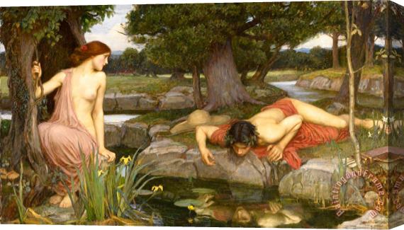 J. W. Waterhouse Echo And Narcissus Stretched Canvas Print / Canvas Art