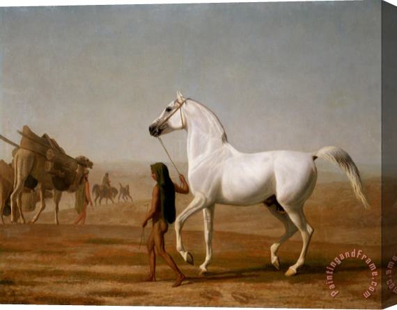 Jacques-Laurent Agasse The Wellesley Grey Arabian Led Through The Desert Stretched Canvas Print / Canvas Art