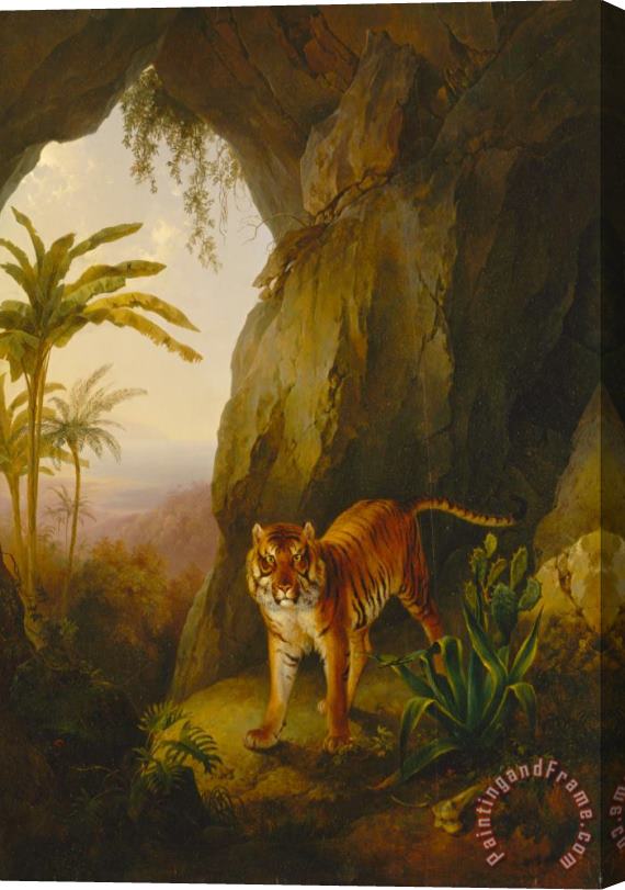 Jacques-Laurent Agasse Tiger in a Cave Stretched Canvas Painting / Canvas Art