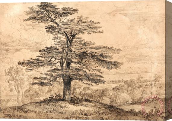 James Ward A Cedar on a Rise with a Herd of Deer Grouped Beneath Its Shade Stretched Canvas Print / Canvas Art