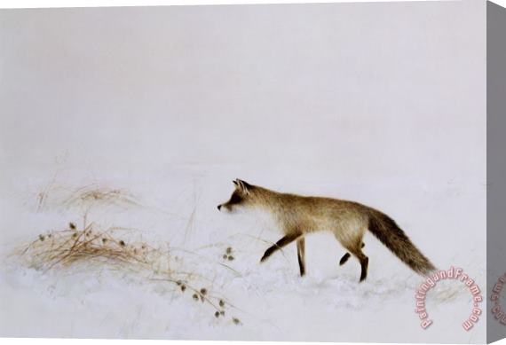 Jane Neville Fox in Snow Stretched Canvas Painting / Canvas Art