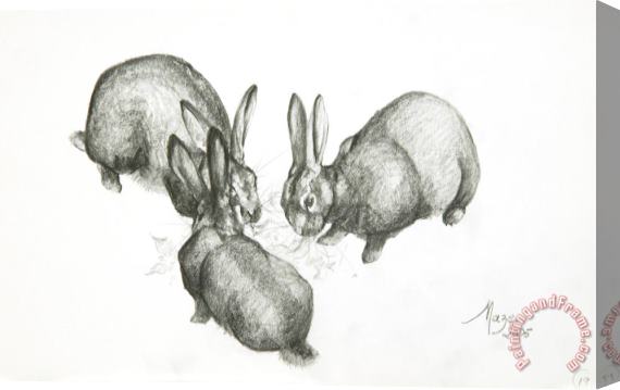 Jeanne Maze Rabbits Stretched Canvas Print / Canvas Art