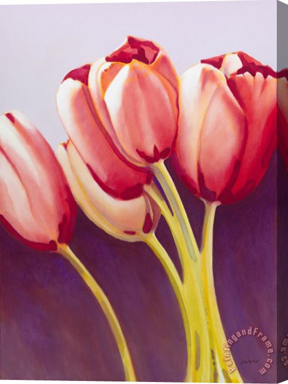 Jerome Lawrence Tulips are People XIII Stretched Canvas Print / Canvas Art
