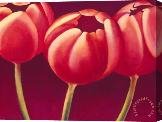 Jerome Lawrence Tulips are People XIV h Stretched Canvas Print / Canvas Art