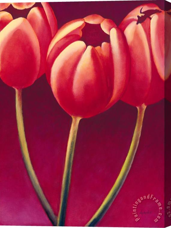 Jerome Lawrence Tulips are People XIV Stretched Canvas Painting / Canvas Art