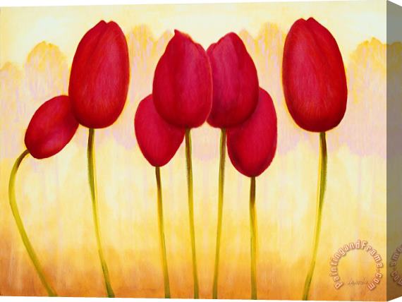 Jerome Lawrence Tulips are People XV h Stretched Canvas Print / Canvas Art