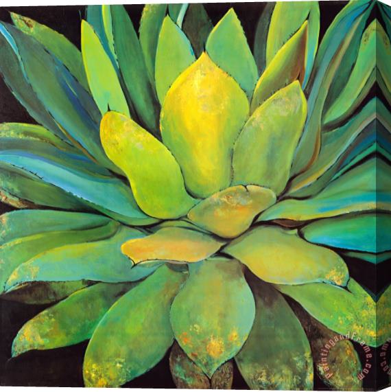Jillian David Agave Stretched Canvas Painting / Canvas Art