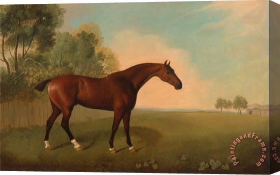 John Boultbee A Bay Horse in a Field Stretched Canvas Painting / Canvas Art