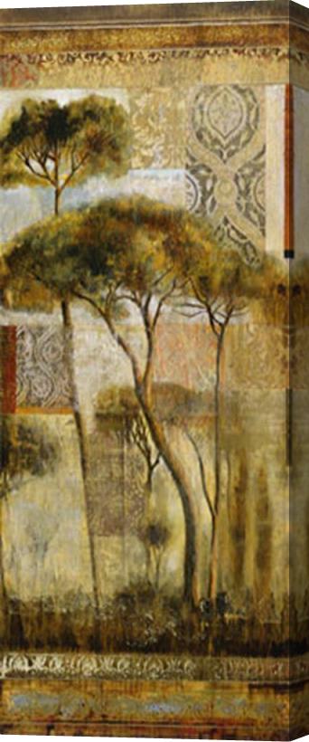 John Douglas Italian Arbor II Stretched Canvas Print / Canvas Art