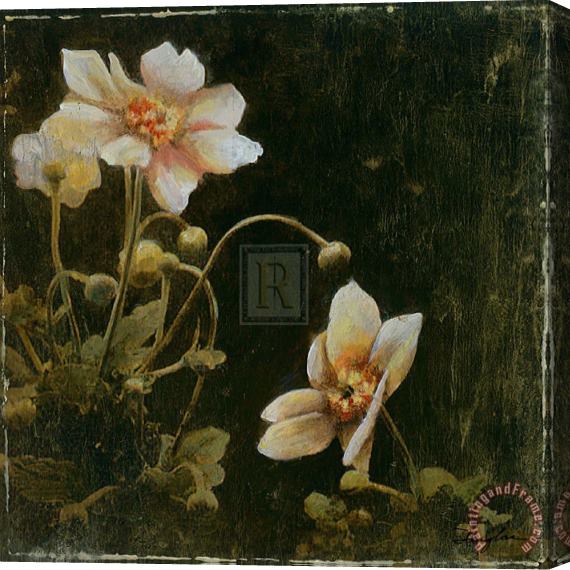 John Douglas Midsummer Night Bloom I Stretched Canvas Print / Canvas Art